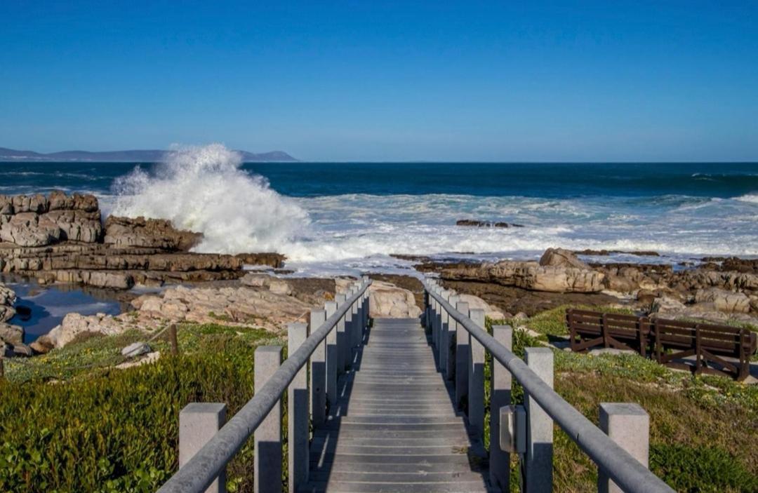 29@whale Rock Estate Apartment